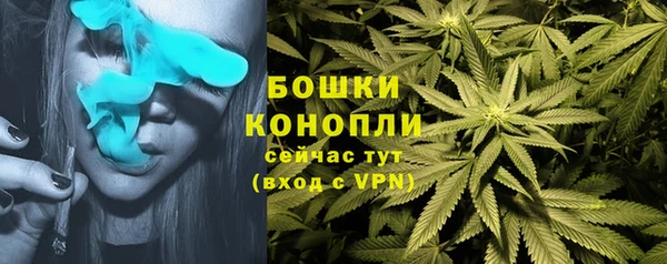 2c-b Карабаново