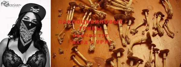 кокс Володарск