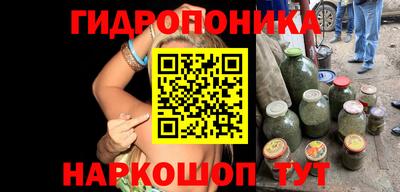 СК Сланцы