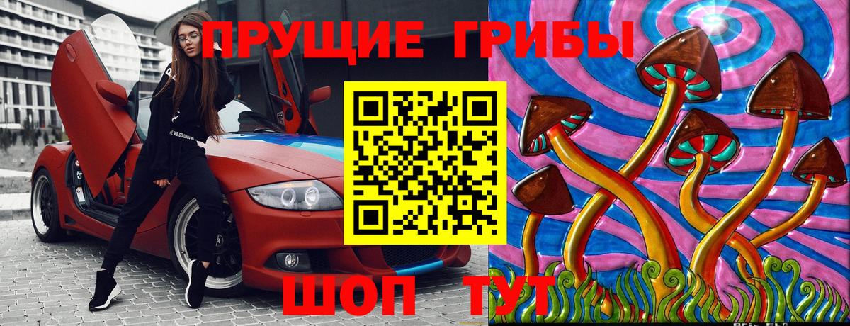 Псилоцибиновые грибы Cubensis  Вход с VPN  Мариинск 