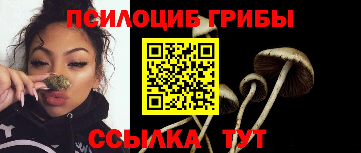 Псилоцибиновые грибы Cubensis Мариинск